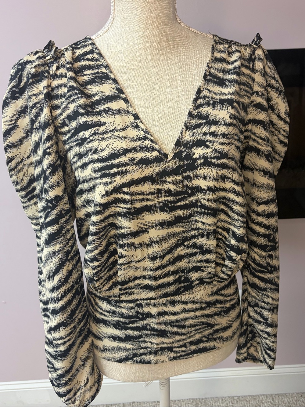 Express V-Neck Long Sleeve Tiger Stripe Top - Black & Cream